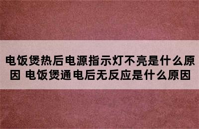 电饭煲热后电源指示灯不亮是什么原因 电饭煲通电后无反应是什么原因